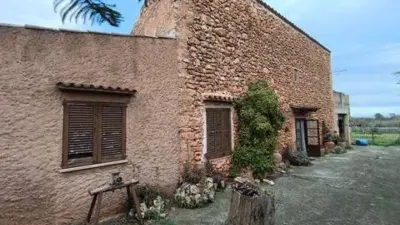 Chalet in Algaida photo 3