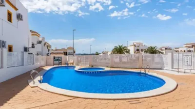 Pis – Orihuela - Vista 2
