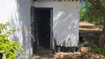 Chalet in Algaida photo 25