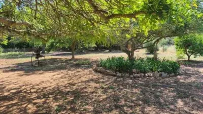 Chalet in Algaida photo 29
