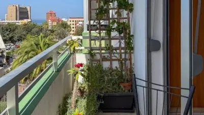 Apartment on Calle Forjador photo 25