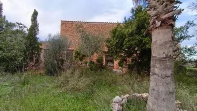 Chalet in Algaida photo 9