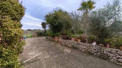 Chalet in Algaida photo 34