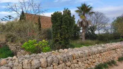 Chalet in Algaida photo 7