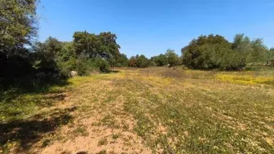 House in Algaida photo 3
