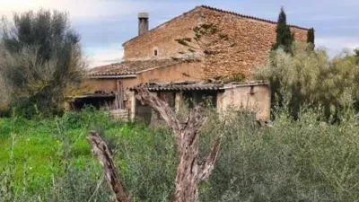 Chalet in Algaida photo 10