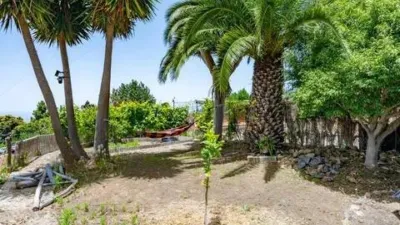 Rustic house on La Florita Street photo 35