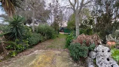 Chalet in Algaida photo 14
