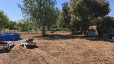 Chalet in Algaida photo 7