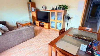 Pis – Los Montesinos - Vista 2