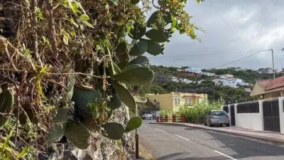 House in El Tanque photo 50
