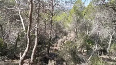 Chalet in Albalate de Zorita photo 23
