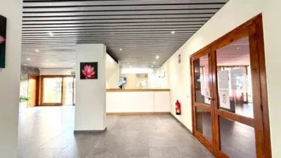 Apartment on Avenida Juan Carlos I photo 16