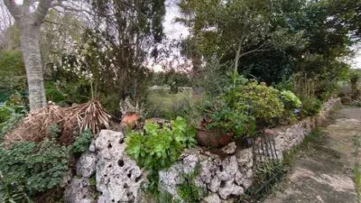 Chalet in Algaida photo 15