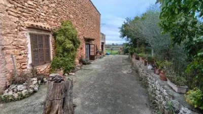 Chalet in Algaida photo 13