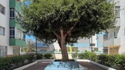 Apartment on Calle Forjador photo 42
