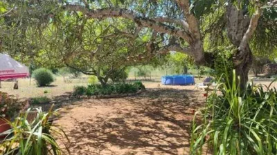 Chalet in Algaida photo 36