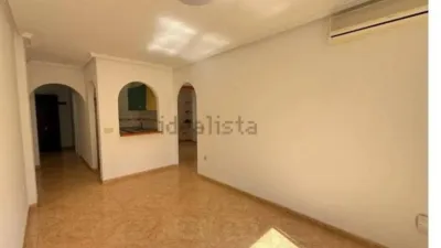 Pis - Vista 3