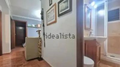 Apartment in Seville City photo 43