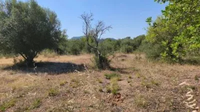 Chalet in Algaida photo 32
