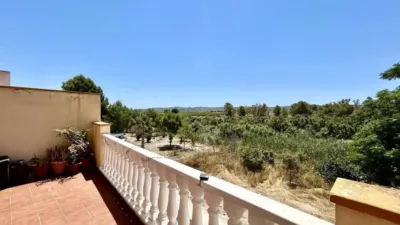 Pis – Orihuela - Vista 2