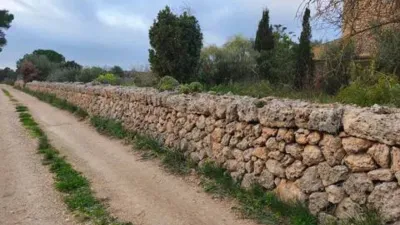 Chalet in Algaida photo 6