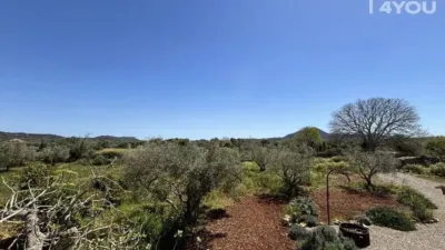 Rustic house in Felanitx photo 18
