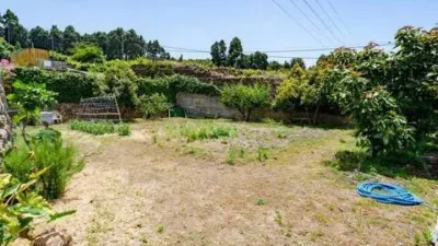 Rustic house on La Florita Street photo 20