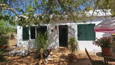 Chalet in Algaida photo 3