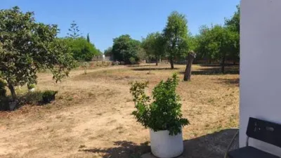 Chalet in Algaida photo 28
