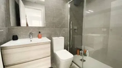 Apartment on Vicente Blasco Ibáñez Street photo 18