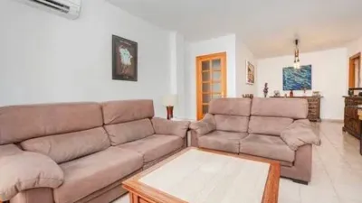 Apartment in Alcúdia photo 3