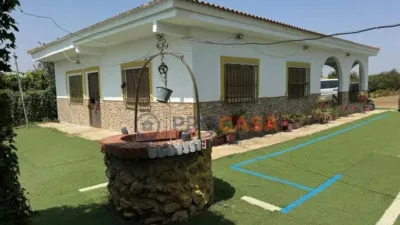 Rustic house in Alcalá de Guadaíra photo 11