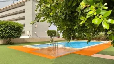 Apartment in Guardamar Playa photo 10
