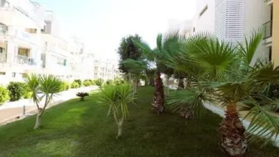 Apartment on Pimienta Street photo 27