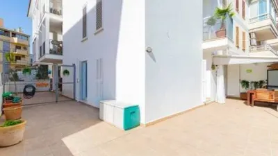 Apartment in Alcúdia photo 21