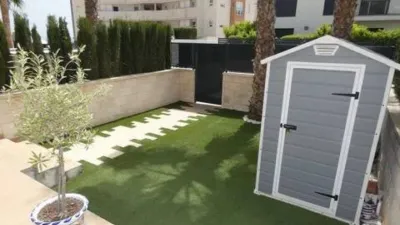 Piso – Orihuela - Vista 4