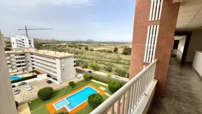 Apartment in Guardamar Playa photo 19