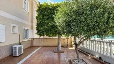 Apartment on Pino Piñonero Street photo 17
