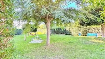 Apartment in La Mata photo 40