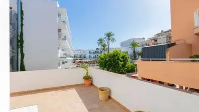 Apartment in Alcúdia photo 25
