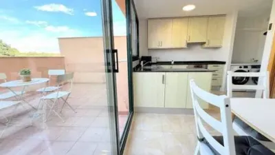 Terraced house in Nulles photo 4