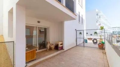 Apartment in Alcúdia photo 26