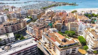 Apartment in Alcúdia photo 32