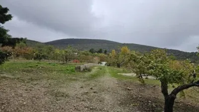 Rustic house in Torres photo 13