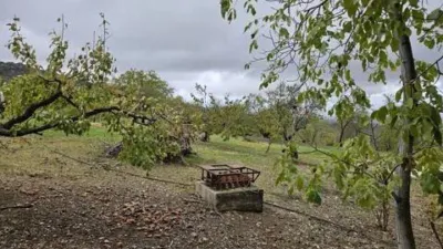 Rustic house in Torres photo 14