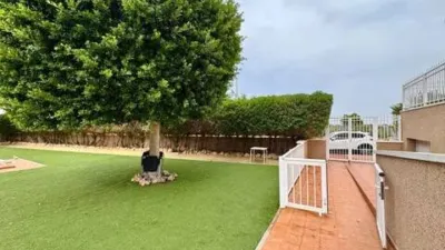 Apartment in Guardamar Playa photo 14
