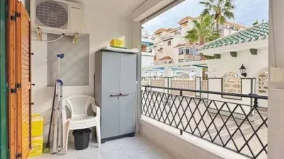 Apartment in La Mata photo 30