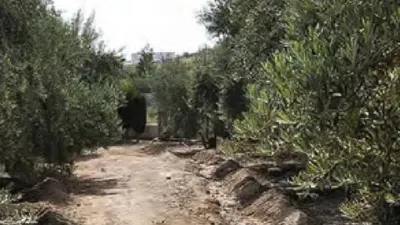 Chalet en calle Paraje de La Canalilla Huercal de Almeria S-N photo 15