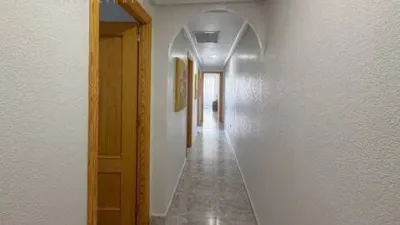 Apartment in Guardamar Playa photo 19